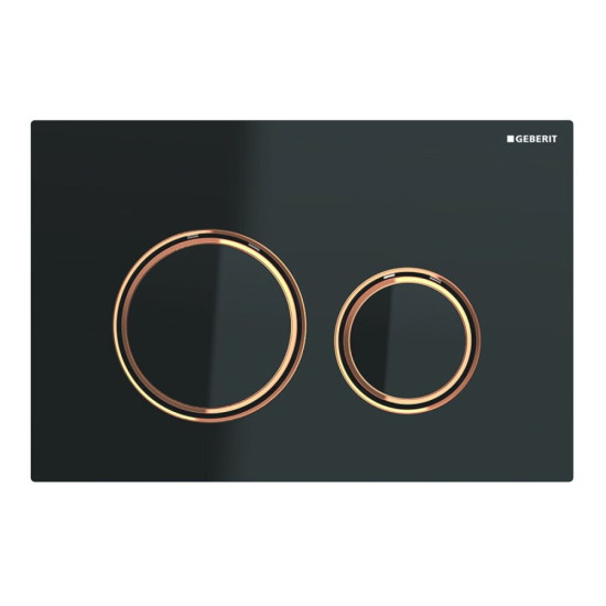 Панель смыва Geberit Sigma21 115.650.SJ.1