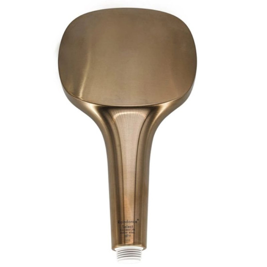Лійка для ручного душу Hansgrohe Raindance Select E 120 3jet матова бронза (26520140)