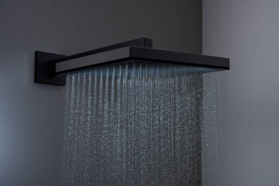 Лейка для верхнего душа Hansgrohe Pulsify E 24330670 черный матовый