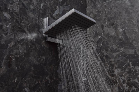 Лейка для верхнего душа Hansgrohe Pulsify E 260 2jet EcoSmart с держателем, Chrome (24351000)