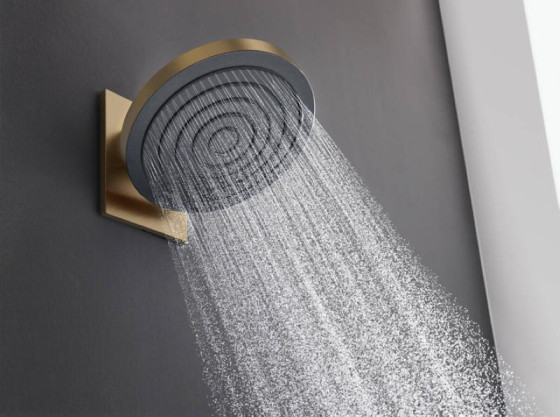 Лійка для верхнього душу Hansgrohe Pulsify S 260 1jet EcoSmart, Brushed Bronze (24141140)