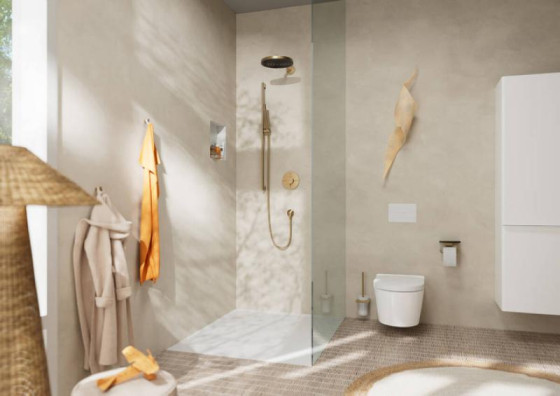 Лійка для верхнього душу Hansgrohe Pulsify S 260 1jet EcoSmart, Brushed Bronze (24141140)