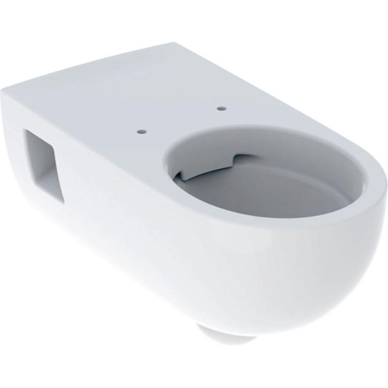 Унітаз підвісний Geberit Selnova Comfort Premium 500.693.01.2