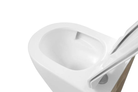 Унитаз подвесной Imprese Rozkos c06310103