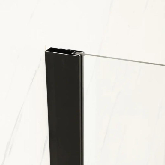 Душевая перегородка Mixxus Premium FLAT SP02-100x200-TR Black Walk-In прозрачная 8мм (MI6856)