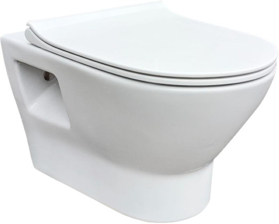 Унитаз подвесной RJ FEEL Rimless RJ4545 полипропилен slow-closing
