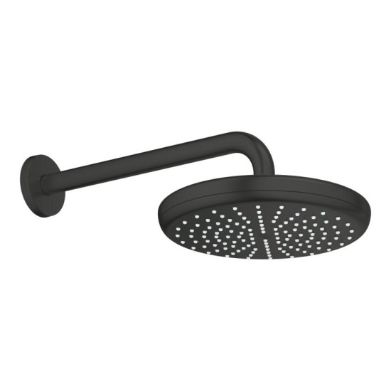 Лейка для верхнего душа Grohe Tempesta 210 (1022182430) черный