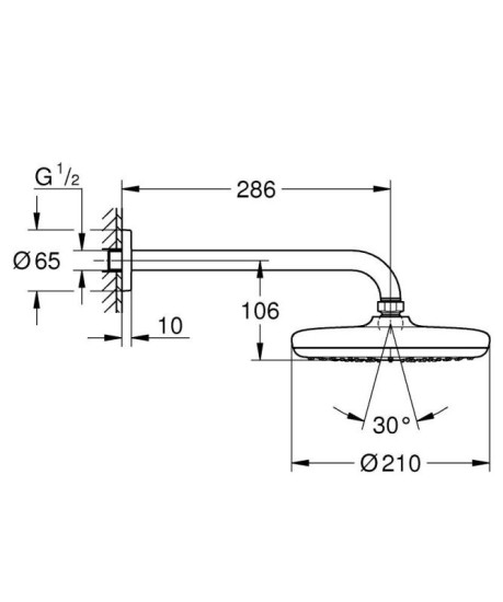 Лейка для верхнего душа Grohe Tempesta 210 (1022182430) черный