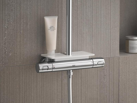 Полиця Grohe EasyReach 26362LN1