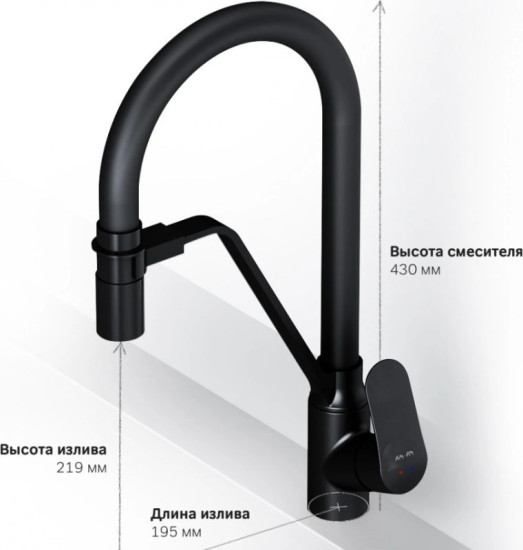 Кухонный смеситель с подключением к фильтру Am.Pm Like F8007822 черный
