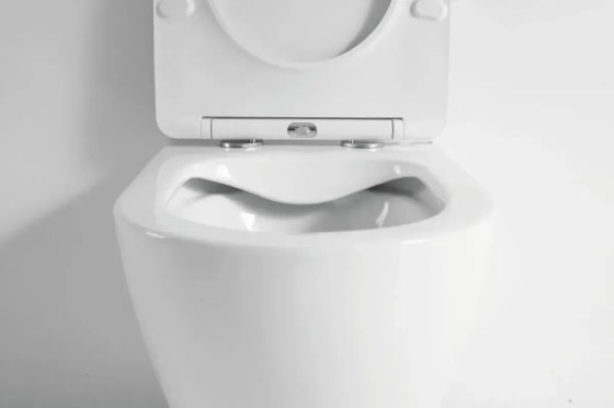 Унітаз підвісний Imprese BLATNA N rimless c06801303