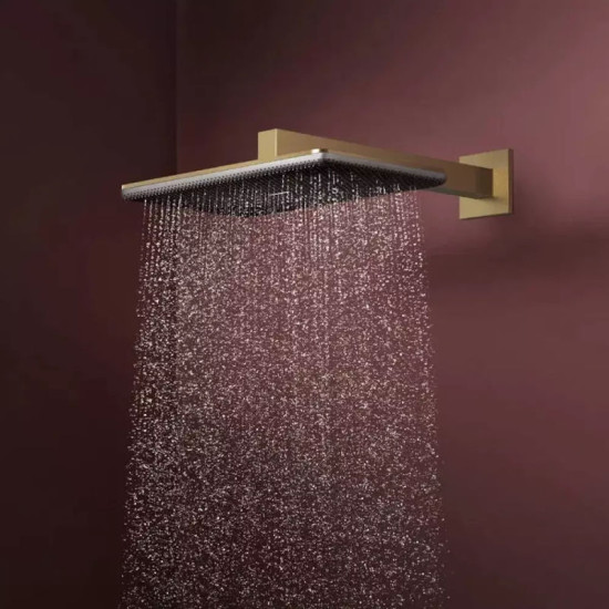Лійка для верхнього душу Hansgrohe Raindance Alive Q 24530140 шліфована бронза