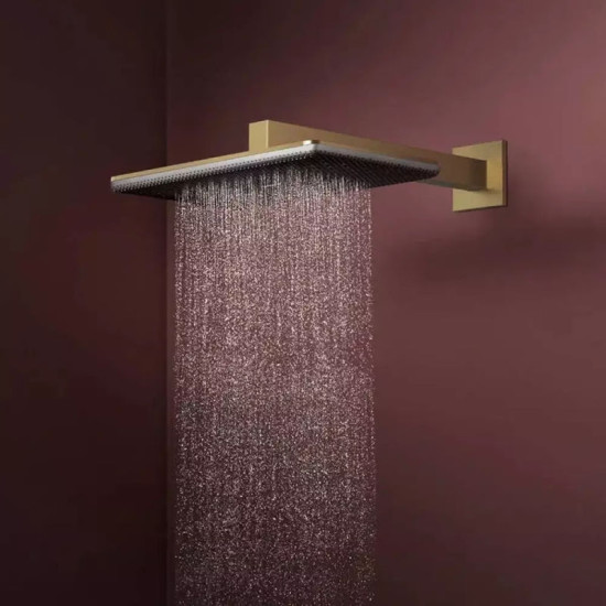 Лійка для верхнього душу Hansgrohe Raindance Alive Q 24530140 шліфована бронза