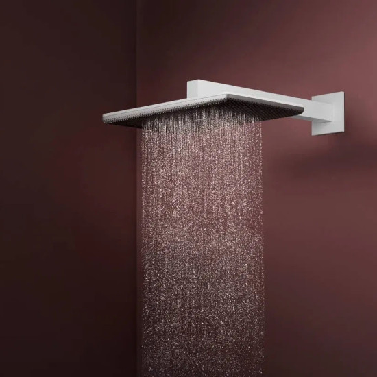 Лійка для верхнього душу Hansgrohe Raindance Alive Q 24530700 білий матовий