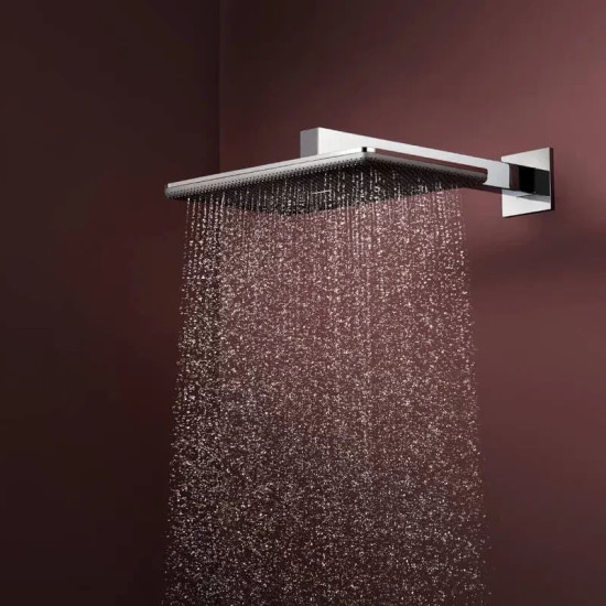 Лійка для верхнього душу Hansgrohe Raindance Alive Q 24550000 хром