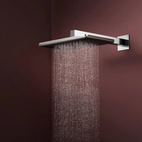Лійка для верхнього душу Hansgrohe Raindance Alive Q 24550000 хром