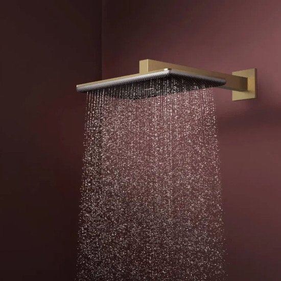 Лейка для верхнего душа Hansgrohe Raindance Alive Q 24550140 шліфована бронза