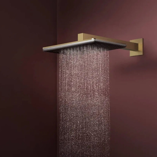 Лейка для верхнего душа Hansgrohe Raindance Alive Q 24550140 шліфована бронза