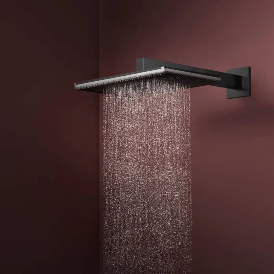 Лейка для верхнего душа Hansgrohe Raindance Alive Q 24550340 шлифованый черный хром
