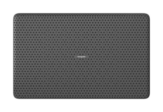 Лейка для верхнего душа Hansgrohe Raindance Alive Q 24550700 белый матовый
