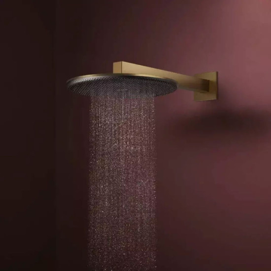 Лійка для верхнього душу Hansgrohe Raindance Alive S 300 24520140 шліфована бронза