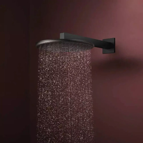 Лейка для верхнего душа Hansgrohe Raindance Alive S 300 24520670 черный матовый