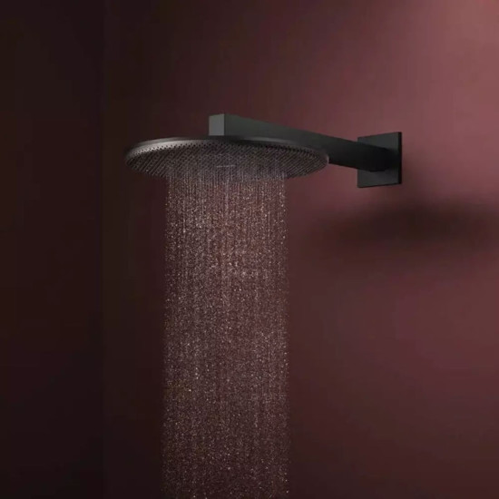 Лейка для верхнего душа Hansgrohe Raindance Alive S 300 24520670 черный матовый