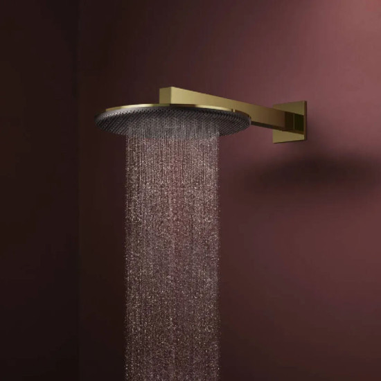 Лійка для верхнього душу Hansgrohe Raindance Alive S 300 24520990 поліроване золото