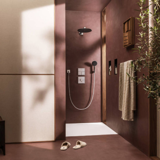 Лейка для верхнего душа Hansgrohe Raindance Alive S 300 24540000 хром