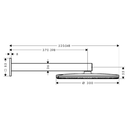 Лейка для верхнего душа Hansgrohe Raindance Alive S 300 24540000 хром