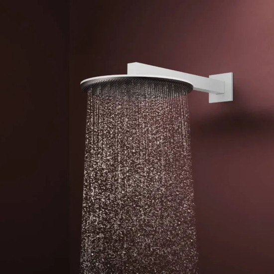 Лейка для верхнего душа Hansgrohe Raindance Alive S 300 24540700 белый матовый