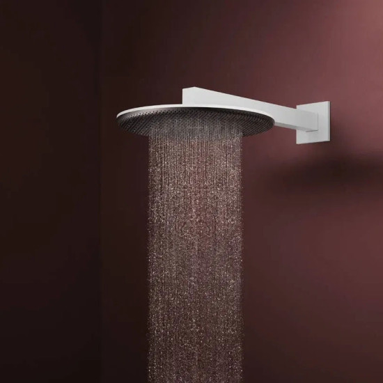 Лейка для верхнего душа Hansgrohe Raindance Alive S 300 24540700 белый матовый