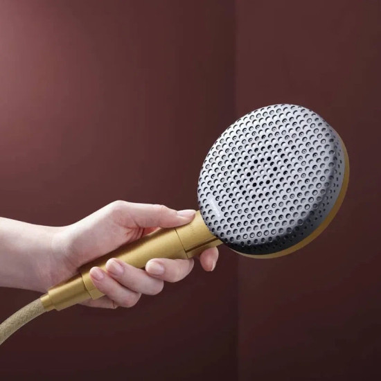 Лійка для ручного душу Hansgrohe Raindance Alive Select S 24500140 шліфована бронза