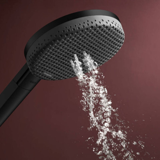 Лейка для ручного душа Hansgrohe Raindance Alive Select S 24500670 черный матовый
