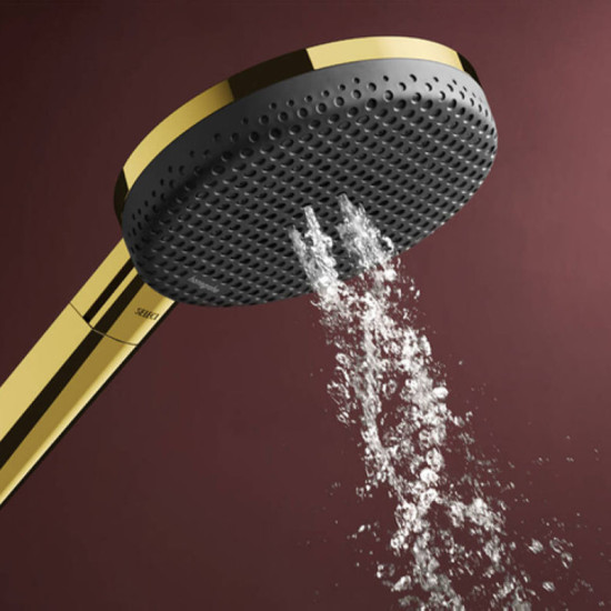 Лейка для ручного душа Hansgrohe Raindance Alive Select S 24500990 полированое золото