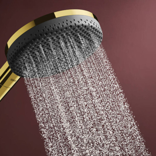Лейка для ручного душа Hansgrohe Raindance Alive Select S 24500990 полированое золото