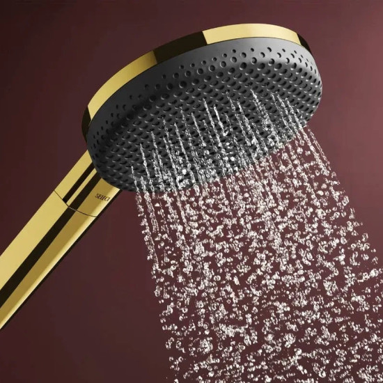 Душевая система Hansgrohe Raindance Alive S Puro 300 1jet с Ecostat Element, Polished Gold Optic (24592990)