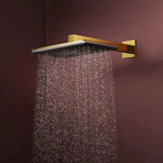 Лейка для верхнего душа Hansgrohe Raindance Alive Q 340/210 1jet, Polished Gold Optic (24530990)