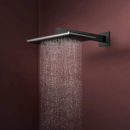 Лейка для верхнего душа Hansgrohe Raindance Alive Q 340/210 2jet EcoSmart с держателем, Brushed Black Chrome (24551340)