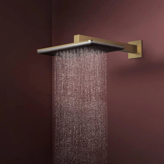 Лійка для верхнього душу Hansgrohe Raindance Alive Q 340/210 2jet EcoSmart с держателем, Brushed Bronze (24551140)