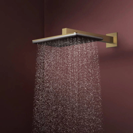Лійка для верхнього душу Hansgrohe Raindance Alive Q 340/210 2jet EcoSmart с держателем, Polished Gold Optic (24551990)