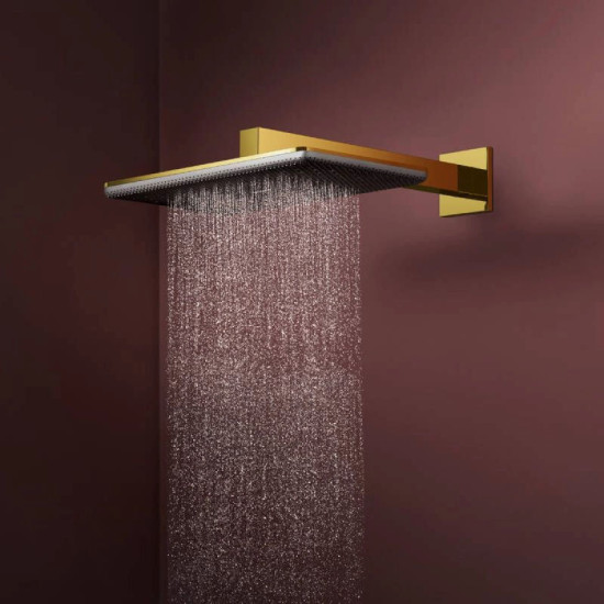 Лійка для верхнього душу Hansgrohe Raindance Alive Q 340/210 2jet с держателем, Polished Gold Optic (24550990)