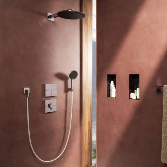 Лейка для верхнего душа Hansgrohe Raindance Alive S 300 2jet EcoSmart с держателем, Chrome (24541000)