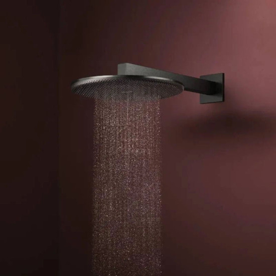 Лейка для верхнего душа Hansgrohe Raindance Alive S 300 2jet EcoSmart с держателем, Matt Black (24541670)