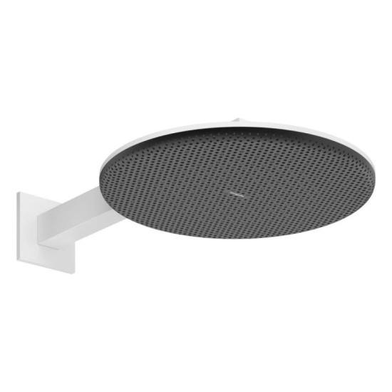 Лейка для верхнего душа Hansgrohe Raindance Alive S 300 2jet EcoSmart с держателем, Matt White (24541700)