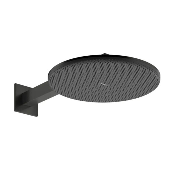 Лейка для верхнего душа Hansgrohe Raindance Alive S 300 2jet с держателем, Brushed Black Chrome (24540340)