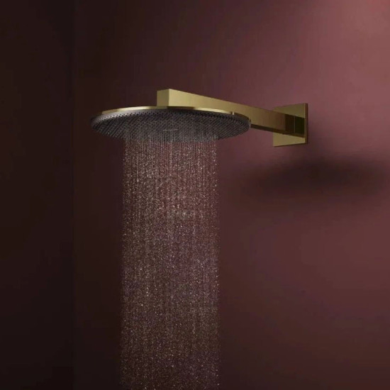 Лійка для верхнього душу Hansgrohe Raindance Alive S 300 2jet с держателем, Polished Gold Optic (24540990)