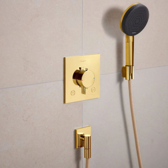 Лейка для ручного душа Hansgrohe Raindance Alive Select S 3jet EcoSmart, Polished Gold Optic (24511990)