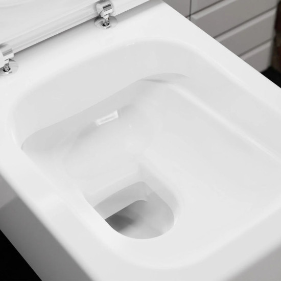 Унитаз подвесной Hansgrohe EluPura Q 540 (60194450_60150450)