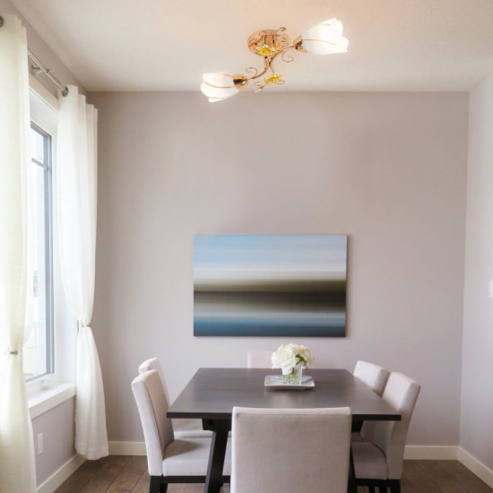 Люстра Sirius B N0282/2 (на 2 плафона)